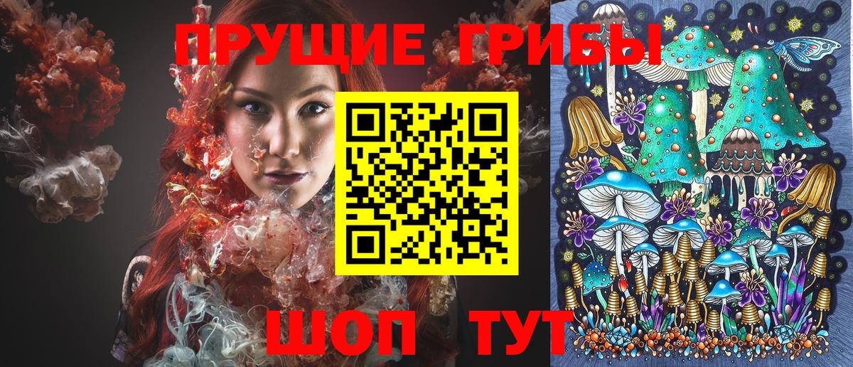ГАШ Малоярославец