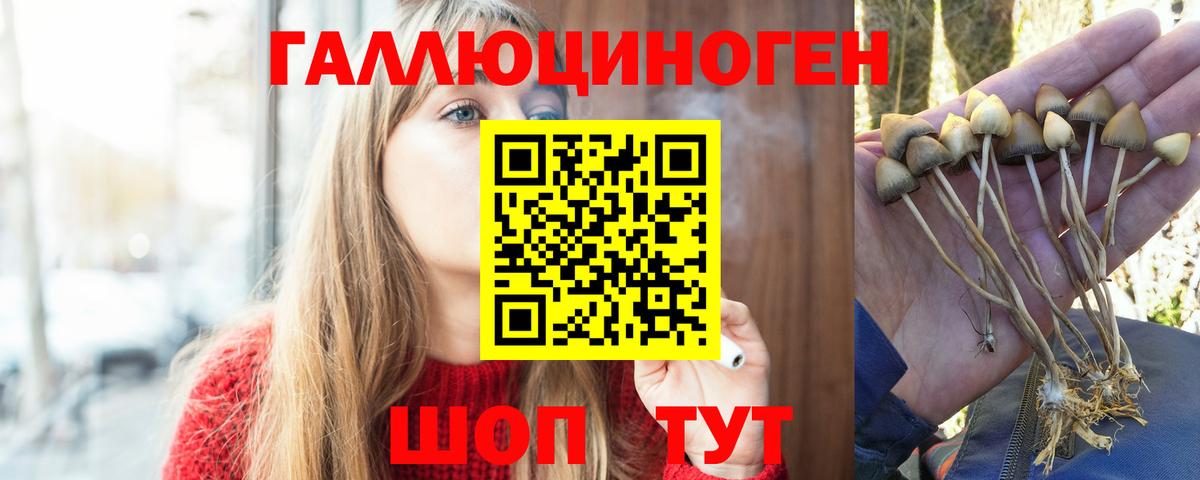 Псилоцибиновые грибы мухоморы  Вход с VPN  Малоярославец  Галлюциногенные грибы прущие грибы 