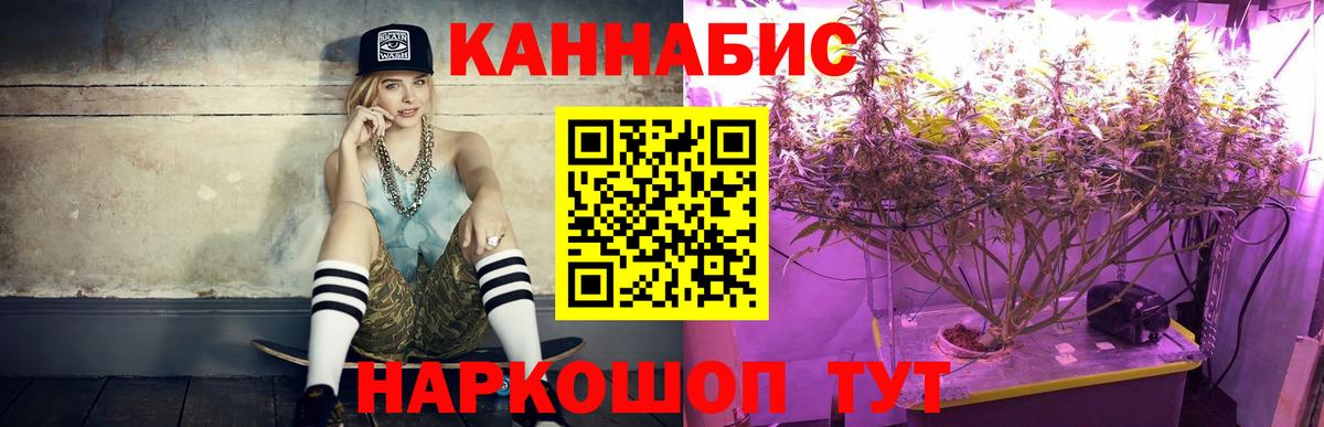 Бошки марихуана ГИДРОПОН  Каннабис Ganja  Каннабис Ganja  Конопля план  Вход с VPN  Малоярославец 